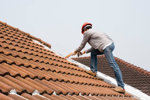 Best Sheet Metal Roofing  in Topton, PA